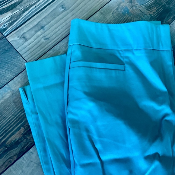 NEW Ann Taylor Crop Pants Womens Green Cotton Twill Slacks Chino Capri - Picture 7 of 7